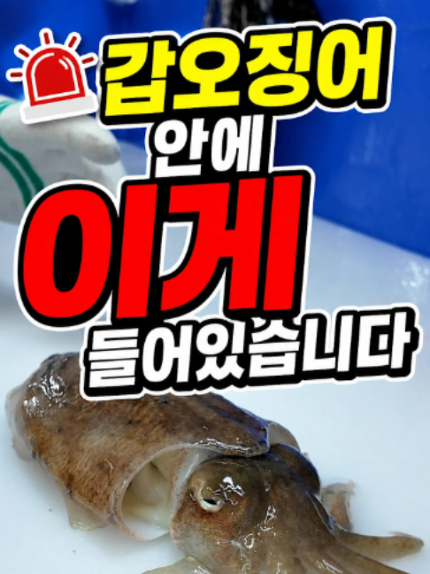 @바다나라김대표