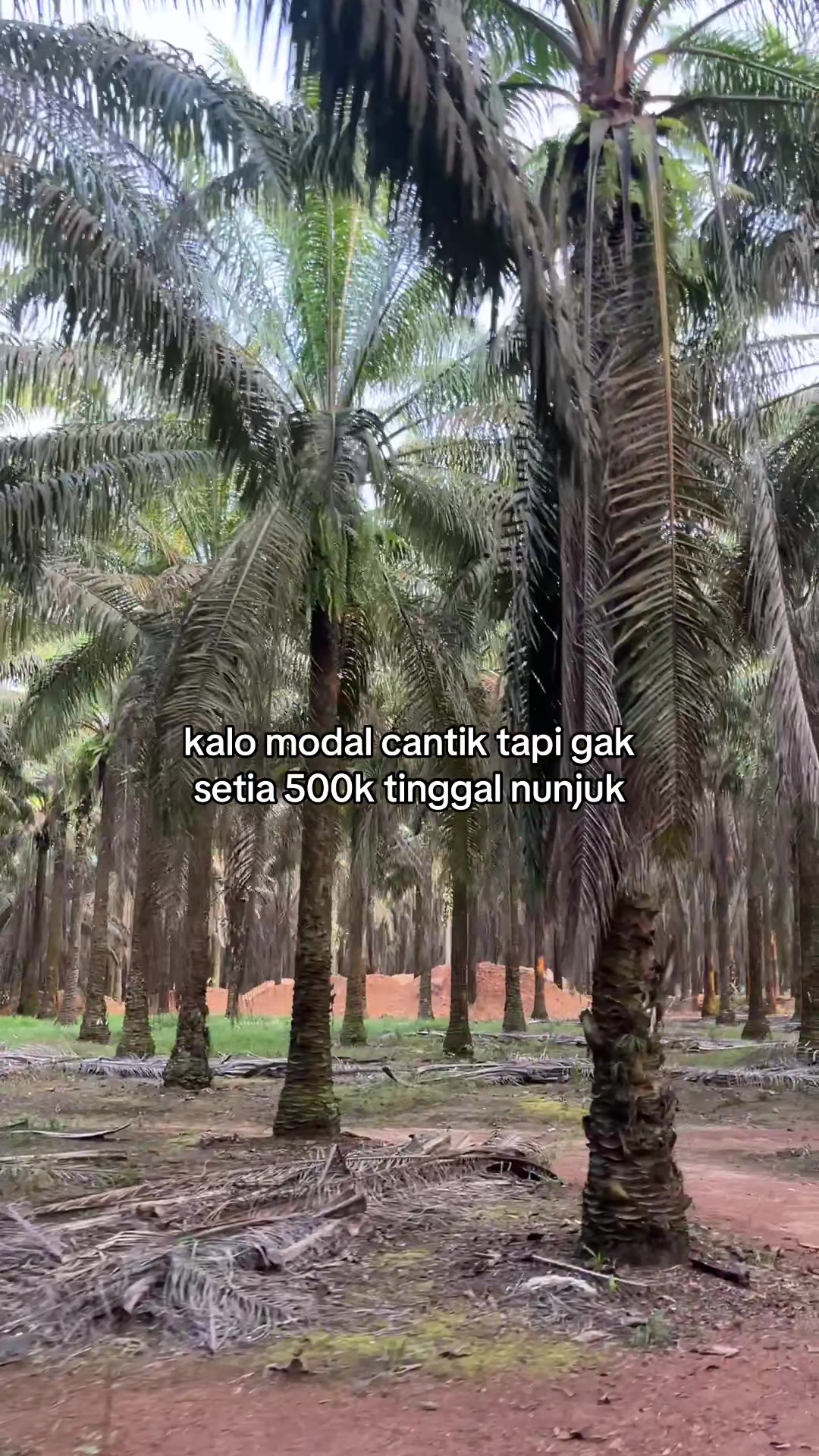 @abil