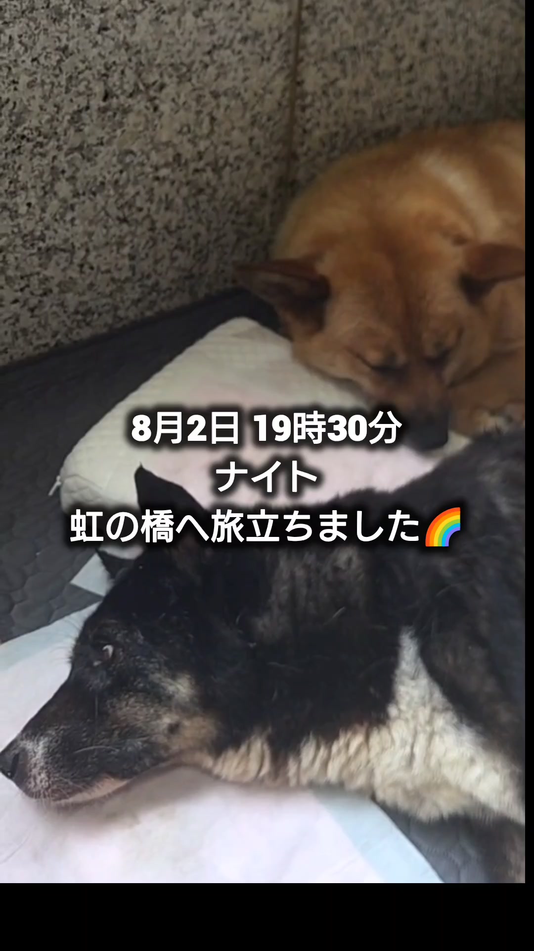 @まあくんハウス