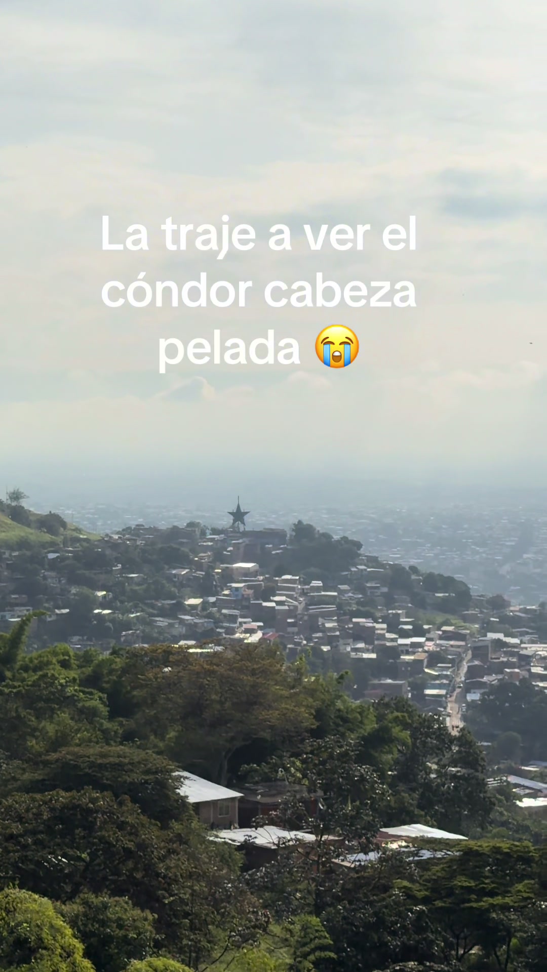 @Andres F