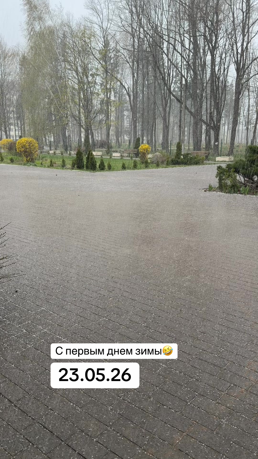 @Ведьма С вами