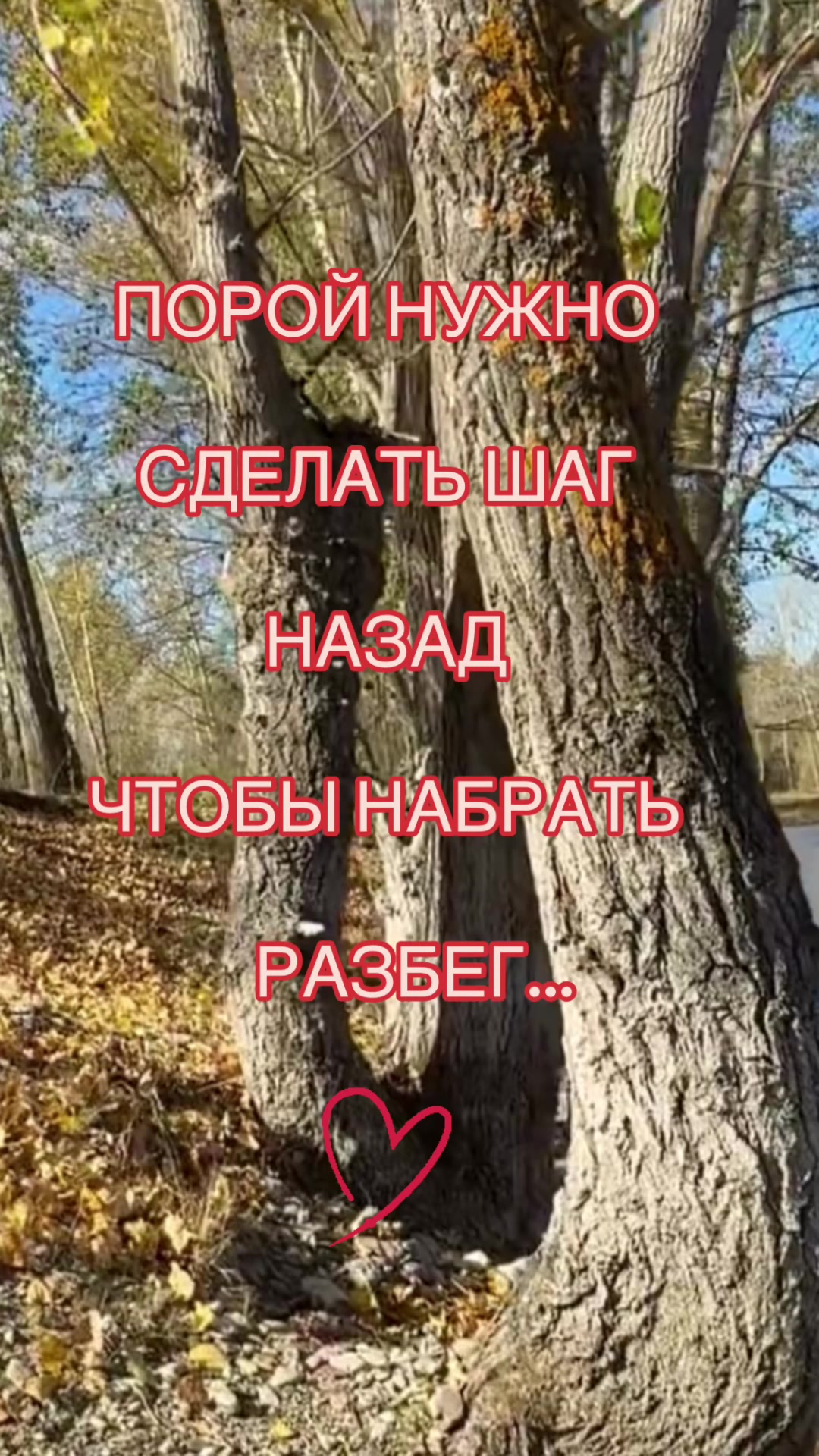 @Елена