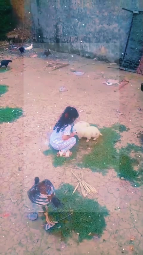 @Irfankamran123