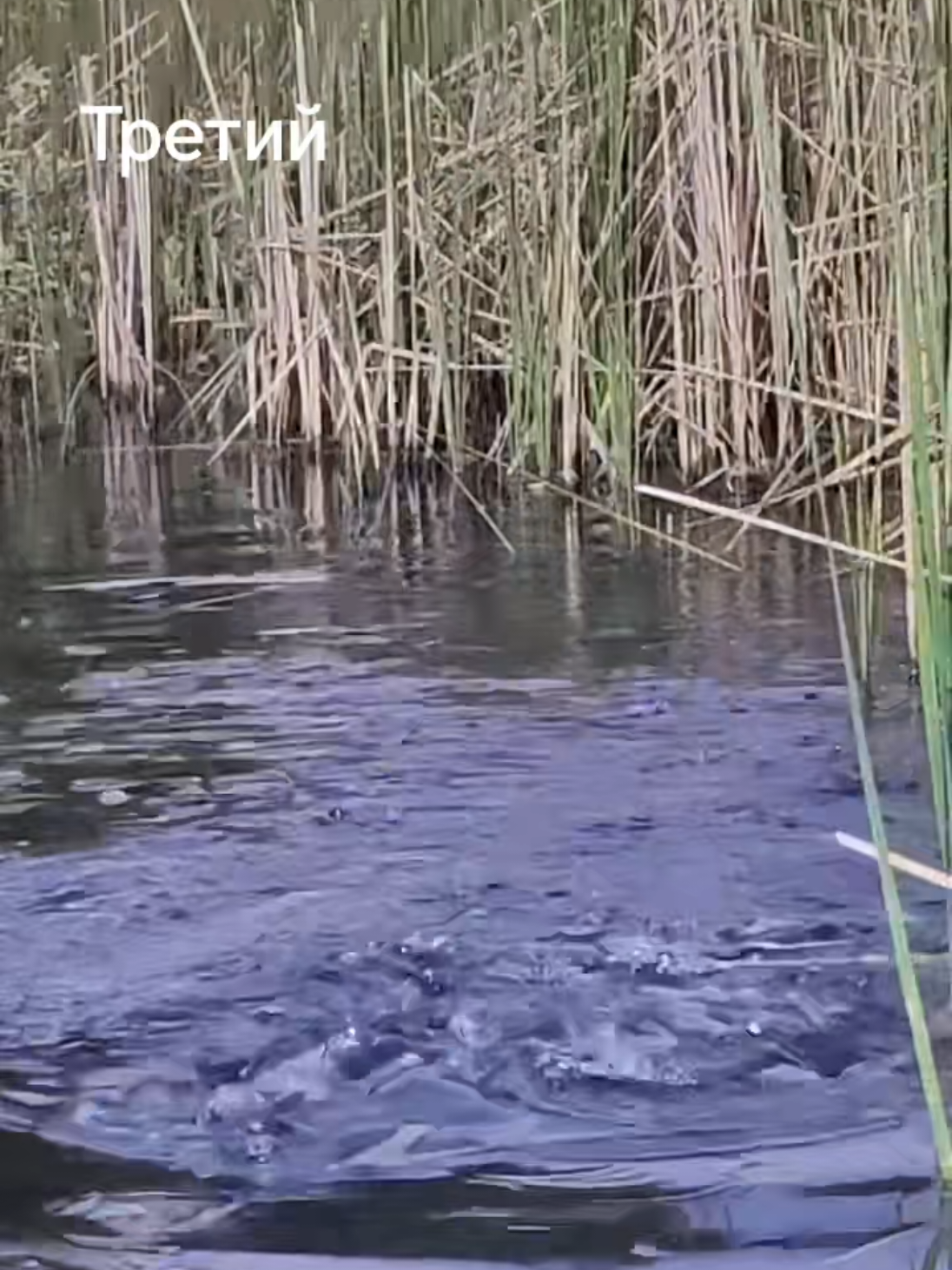 @(ЖОР)Жизнь Одного Рыбака