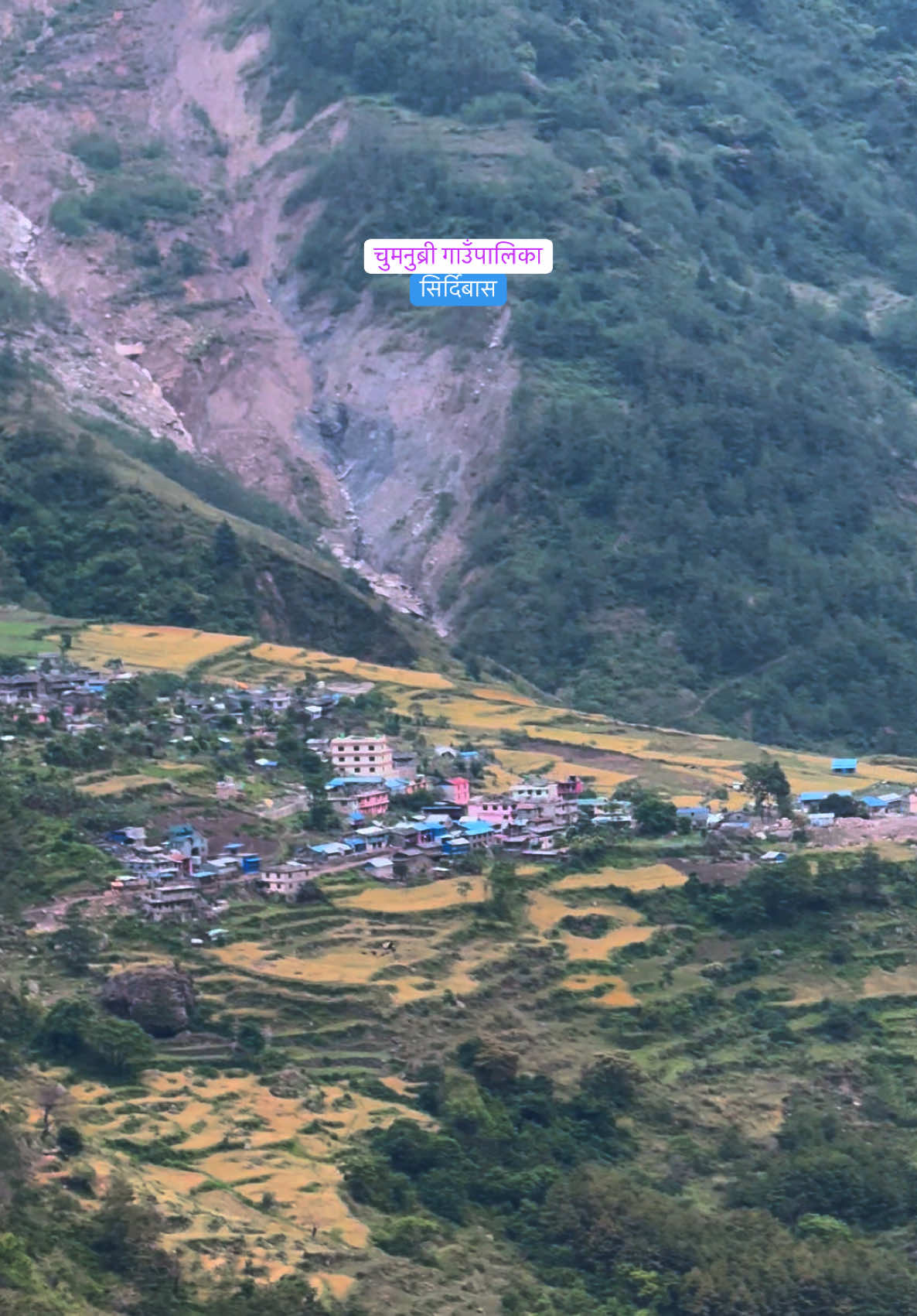 @What’s up Gorkha