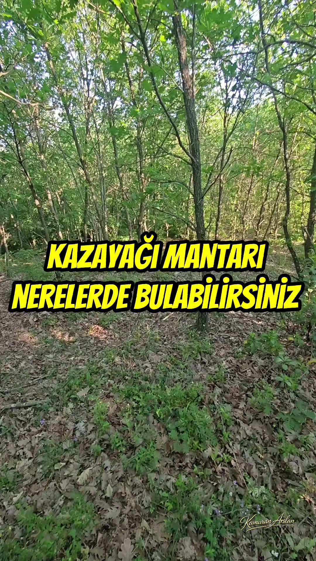 @Kamuran Arslan