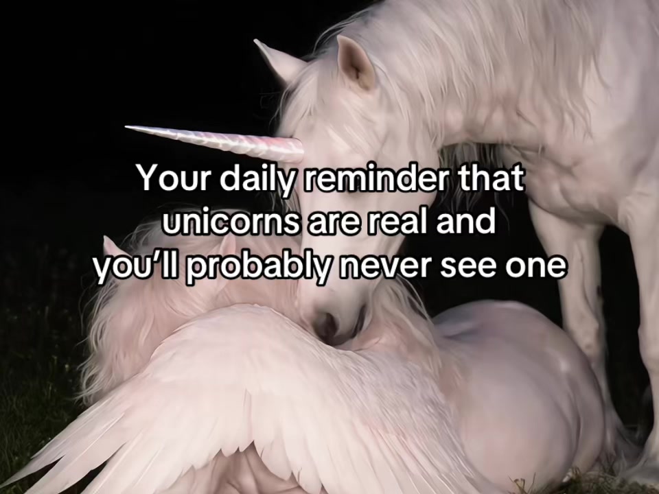 @🦢