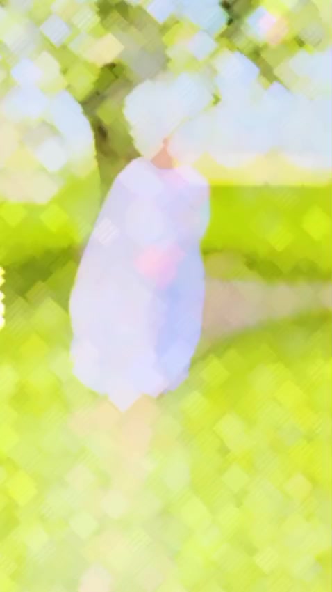 @๐ธ...๐ฆ Little Queen ๐ธ...๐ฆ