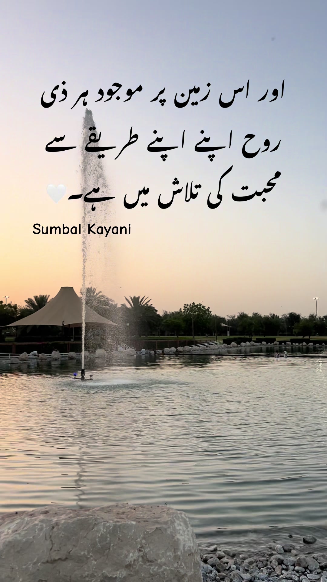 @Sumbal Kayani🦋