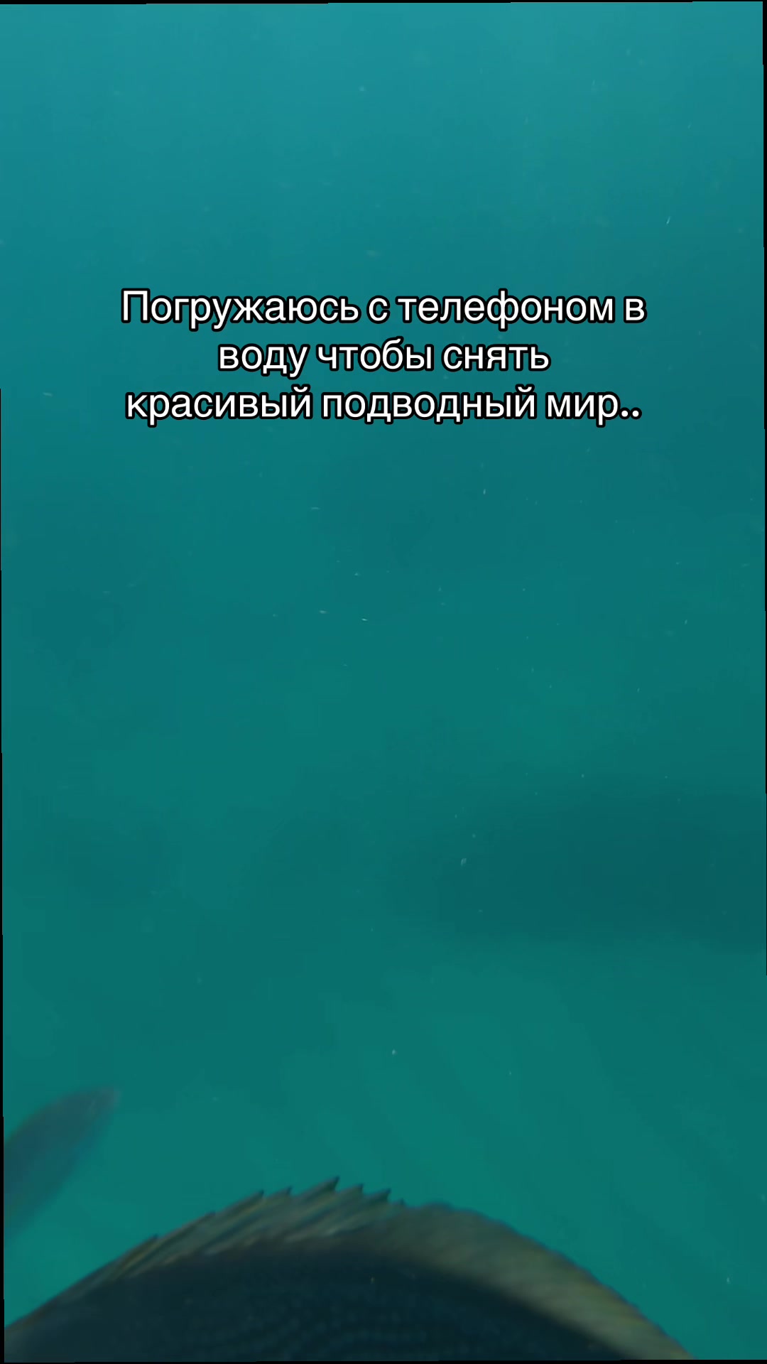 @Alexandra Vasilevskaya