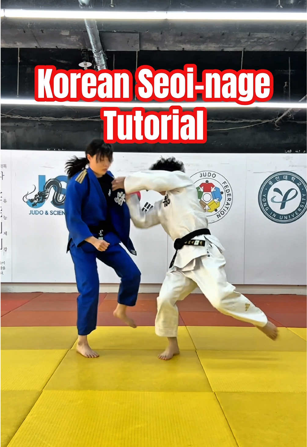 @용용용 YYY