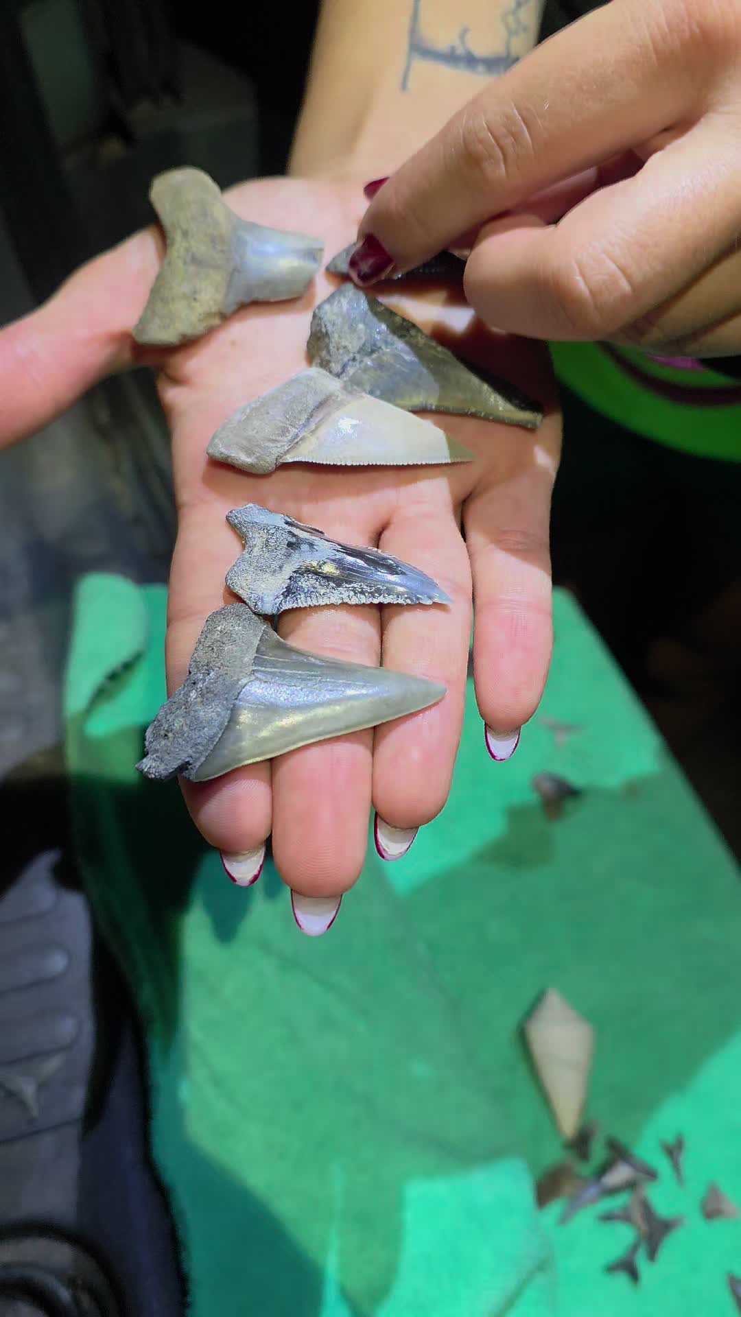 @RelicReef