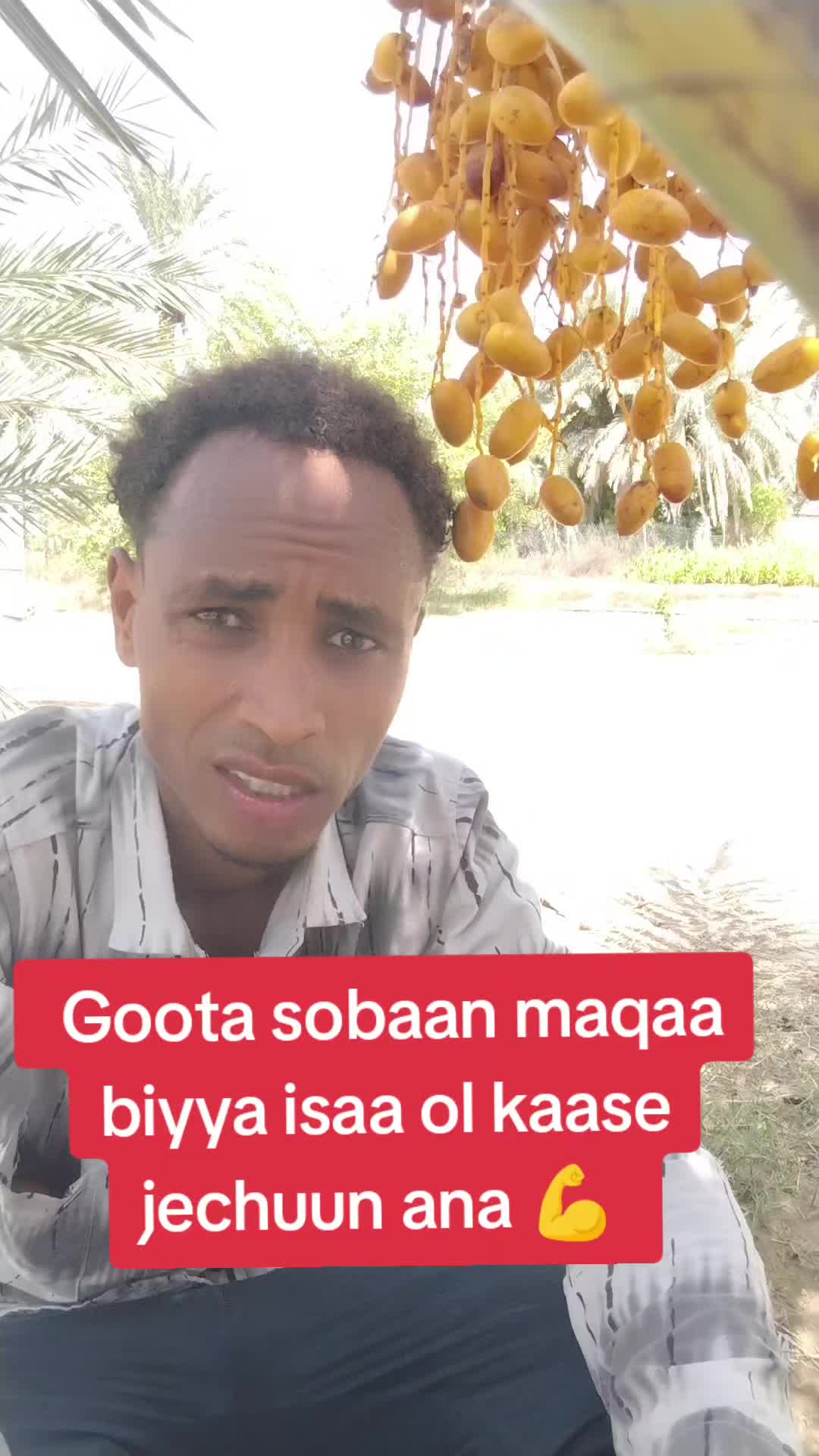 @Gazzaalii jimmaa 🇴🇲🇴🇲🇴🇲
