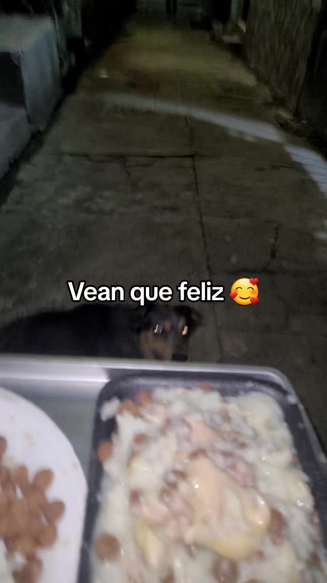 @𝕃𝕚𝕤𝕤 ℝ𝕖yes🇸🇻