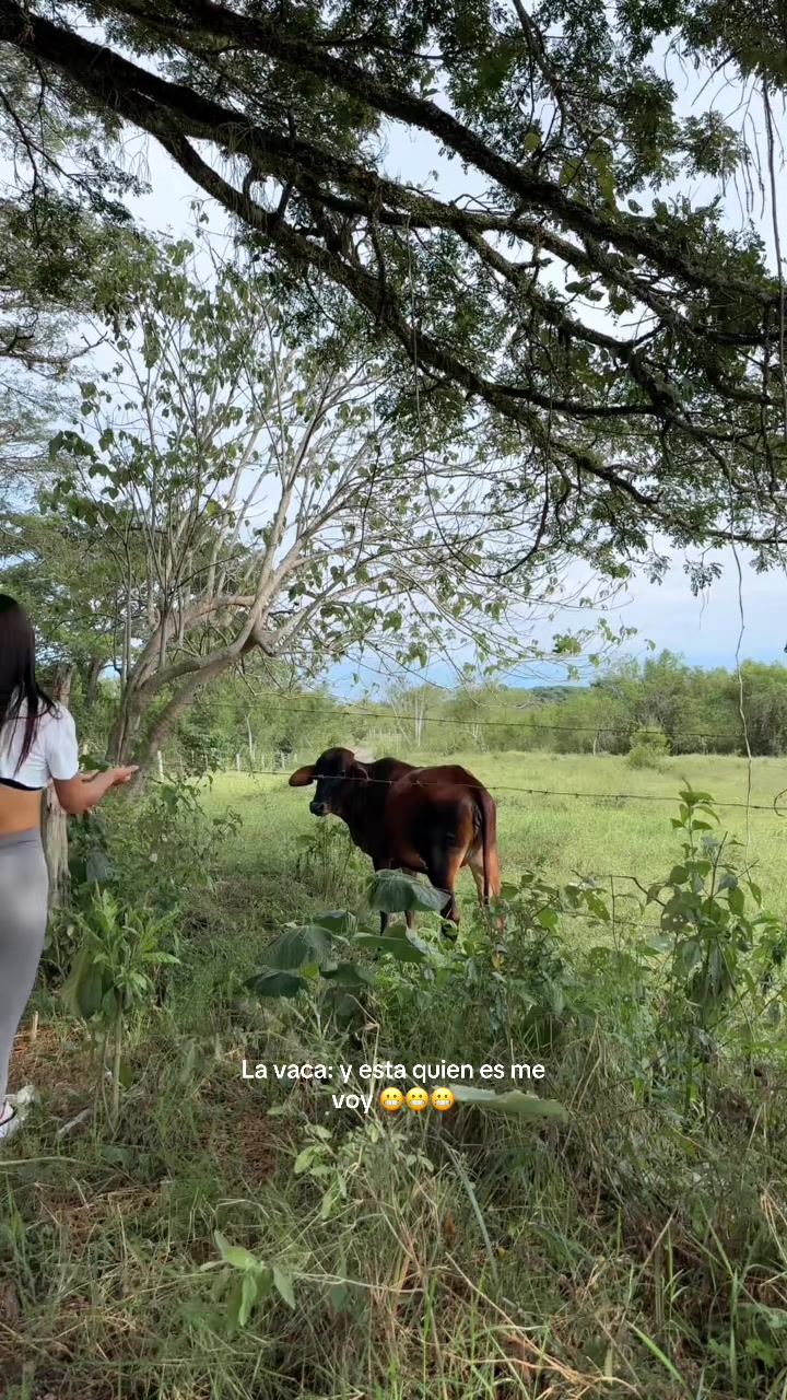 @Naty09f