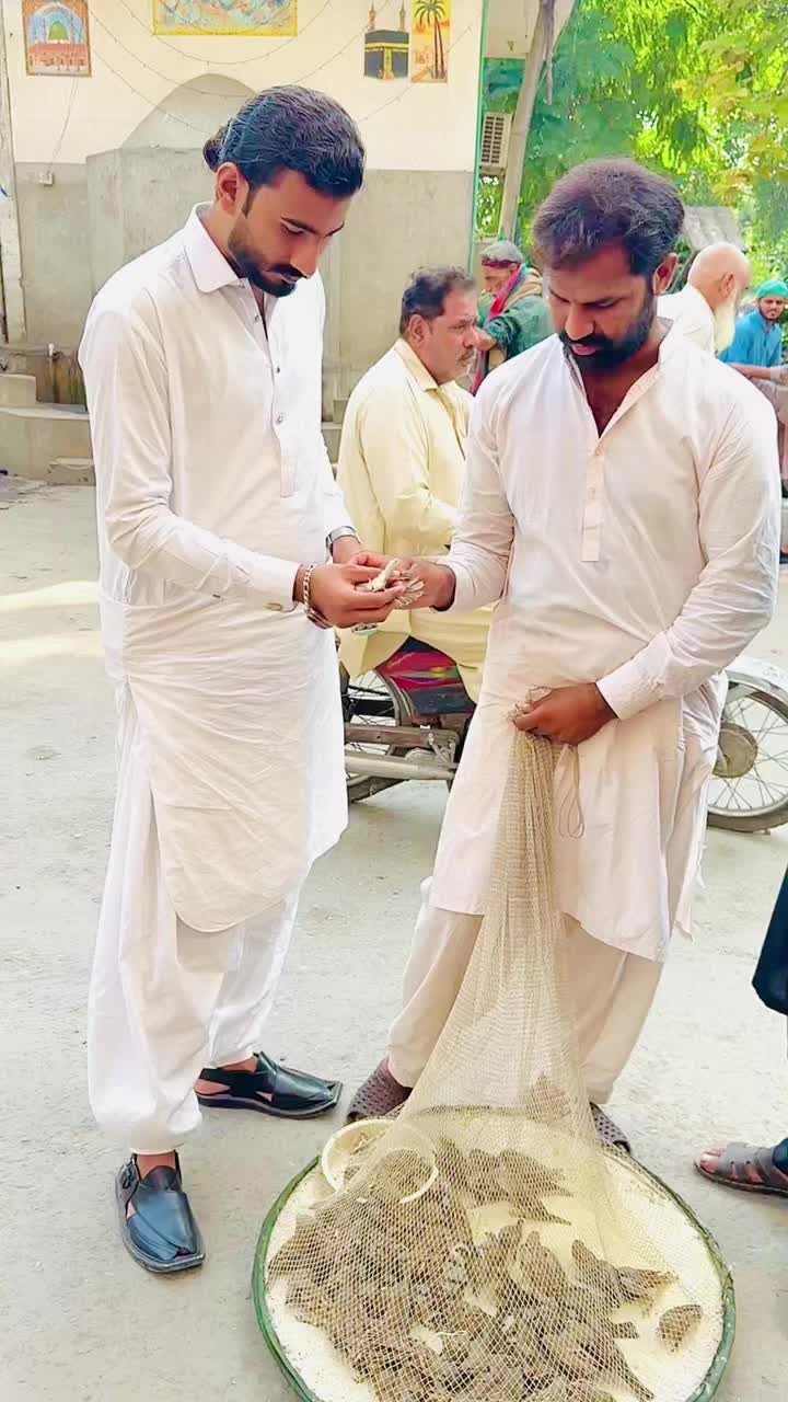 @IBRAR TIWANA