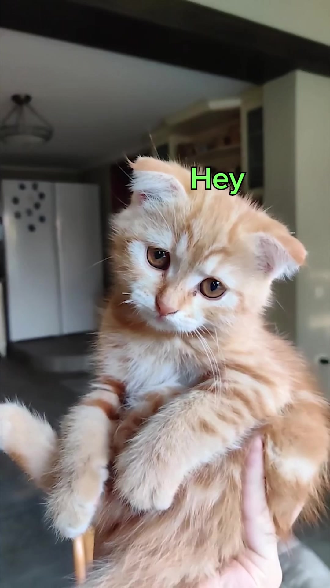 @Rufus Goodboy