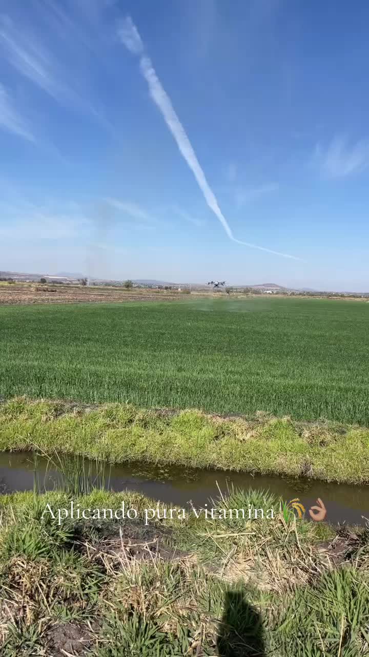 @Pablo Do&ntilde;ate 🤠