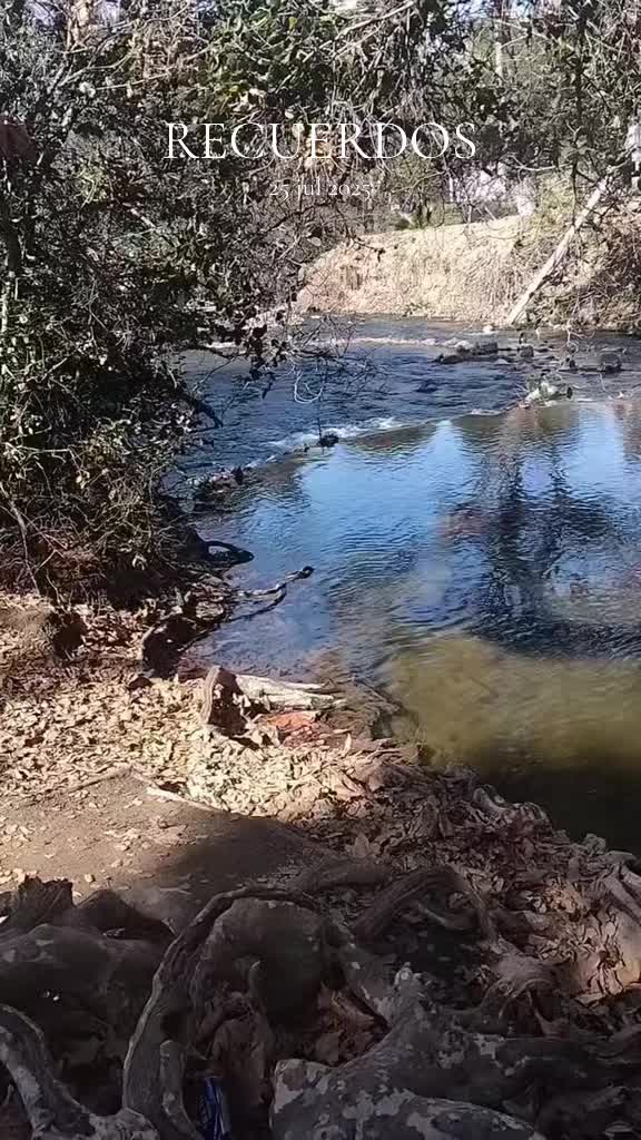 @Carlos Castillo 🍀🐸🐇🇲🇽