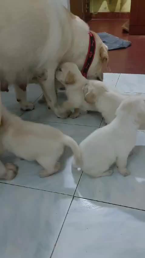@Kavi123