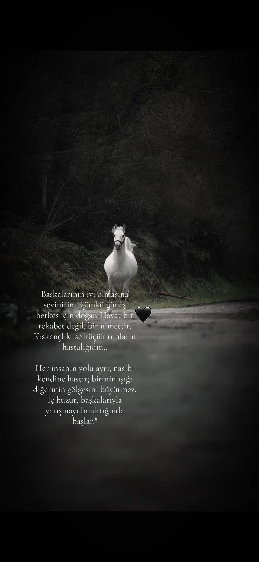 @Teymur