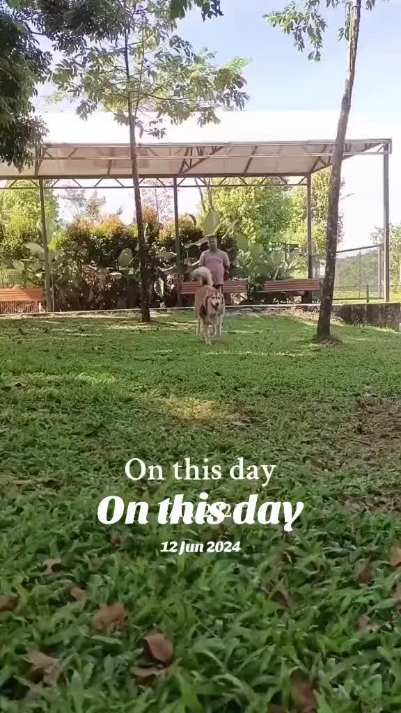 @Celia_Queen88