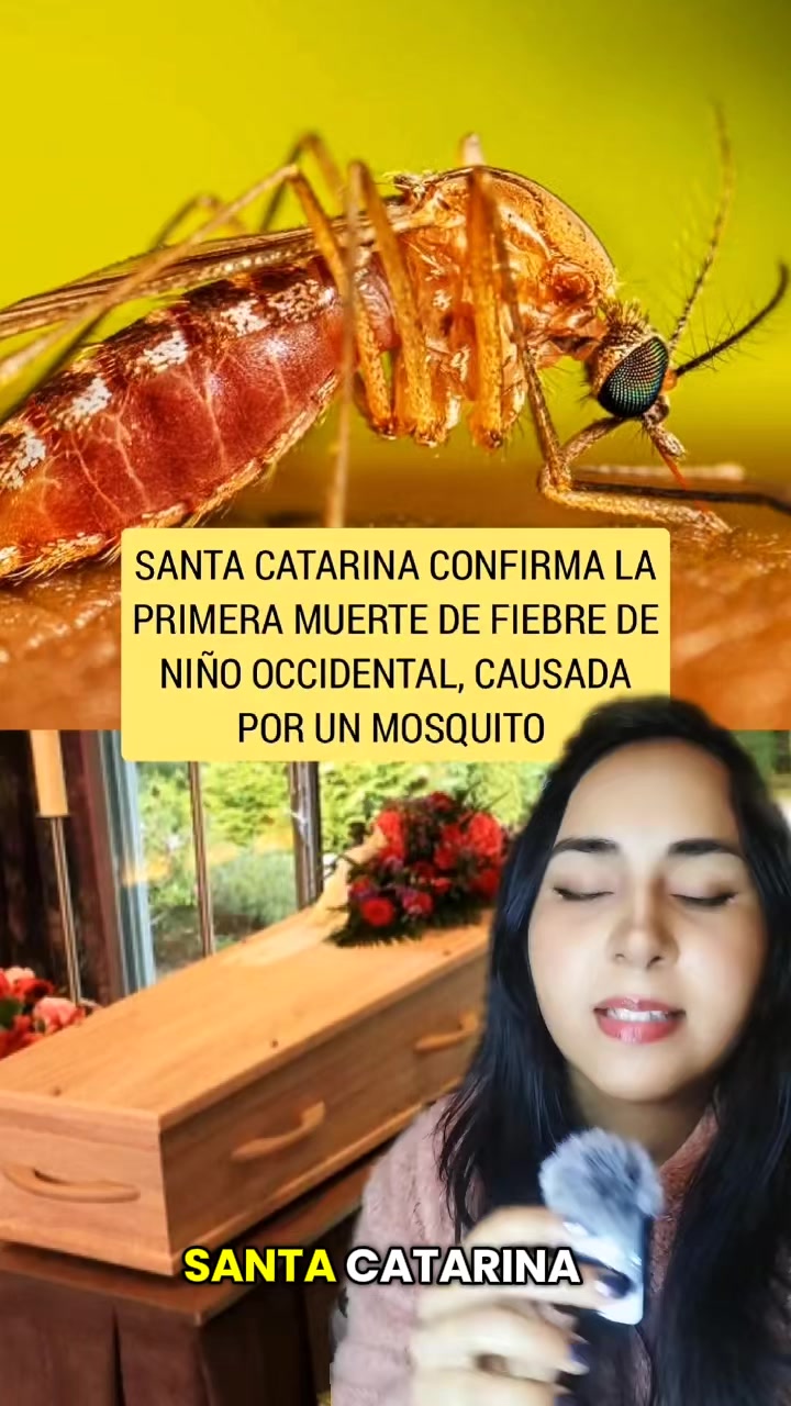 @Dayanna