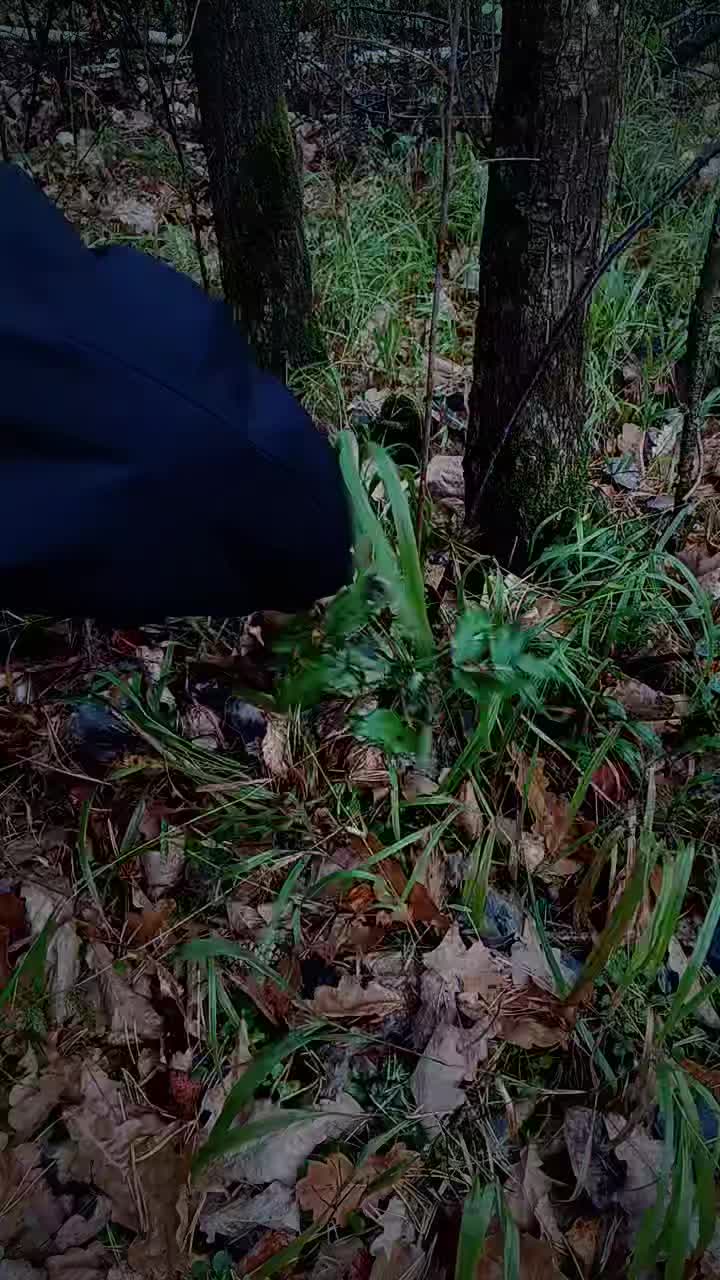 @Ржавый гроб ⚰️