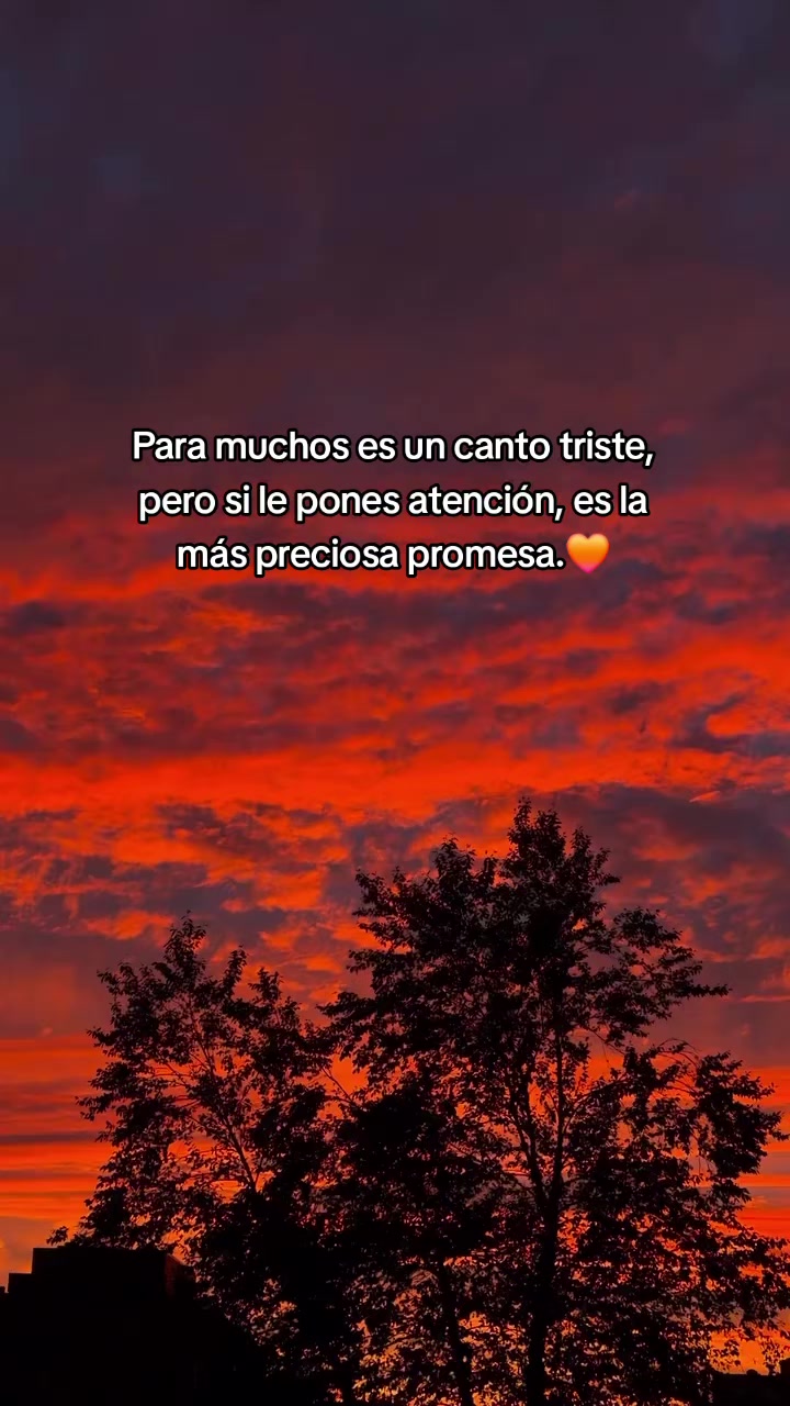 @Letras de fe