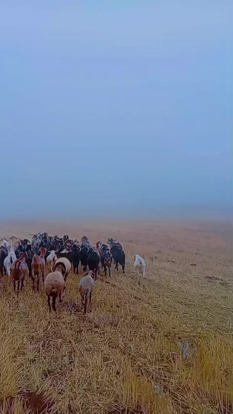 @Ebubekir Kılıç