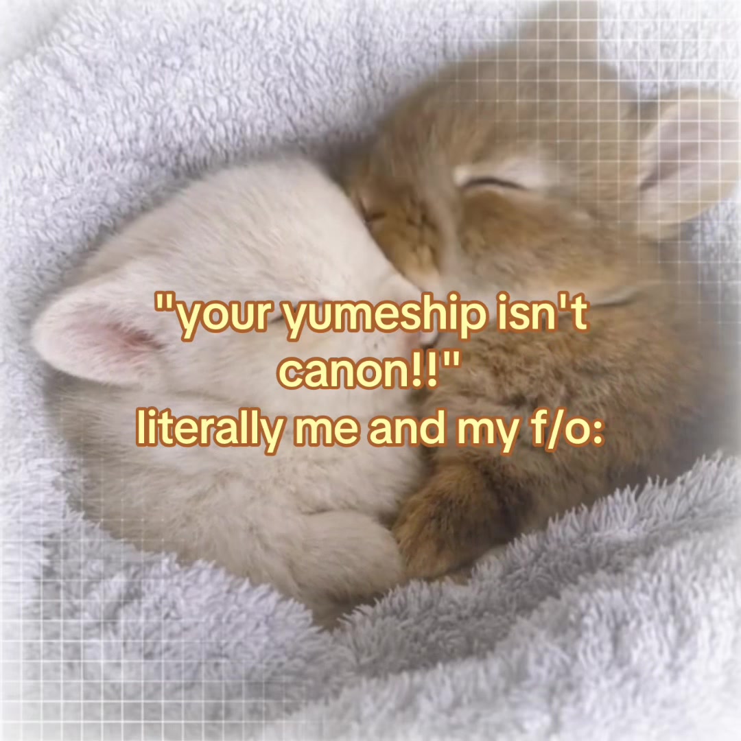 @੭ ֹ fumi ♡'s envi 𓏼