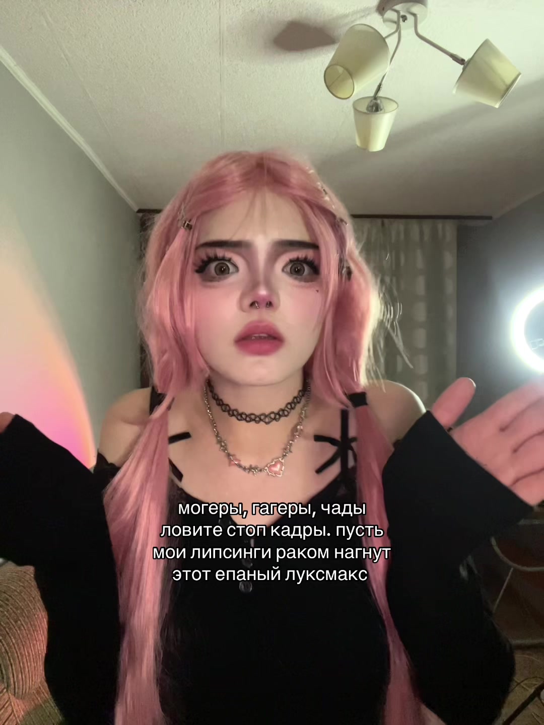 @кошка фэнга мяу