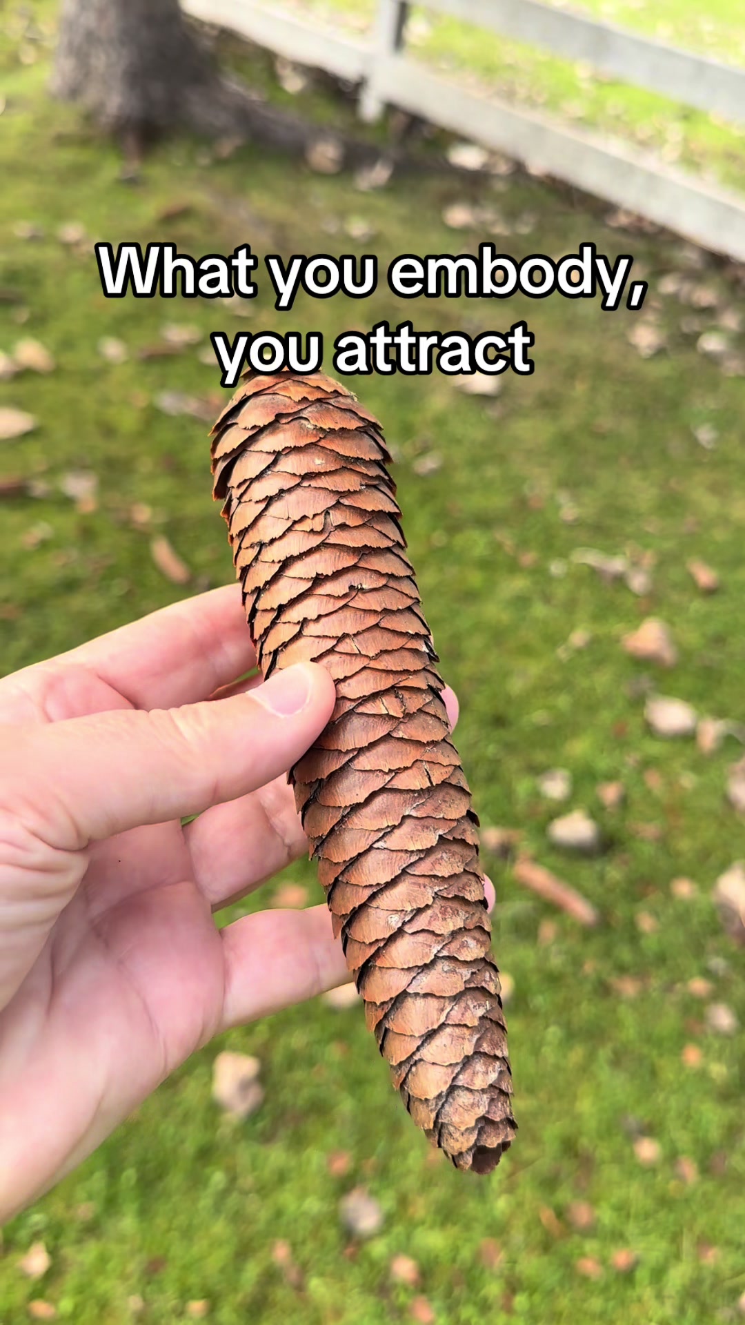 @TheLawOfAttractionLady