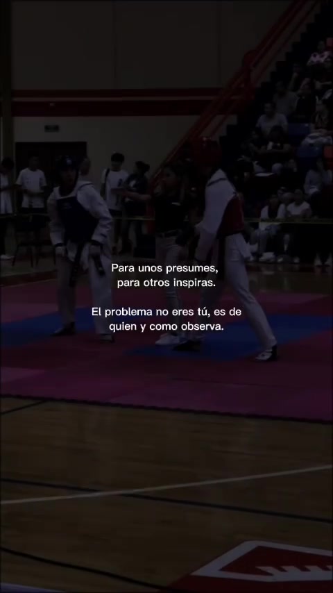 @taekwondolionsteam