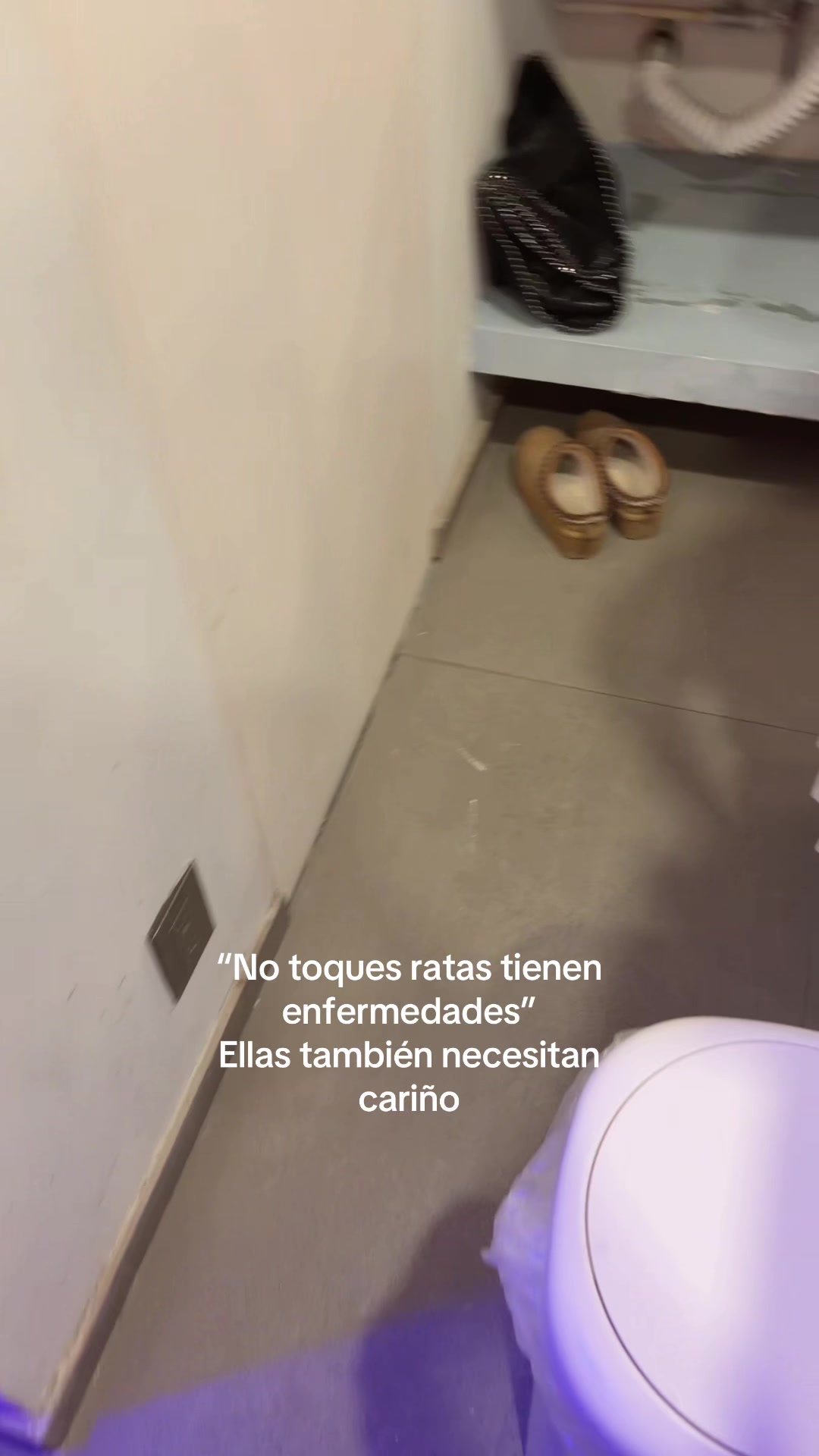 @frida Elizabeth