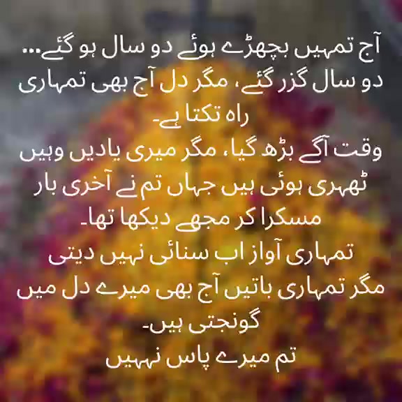 @Seaanna official.