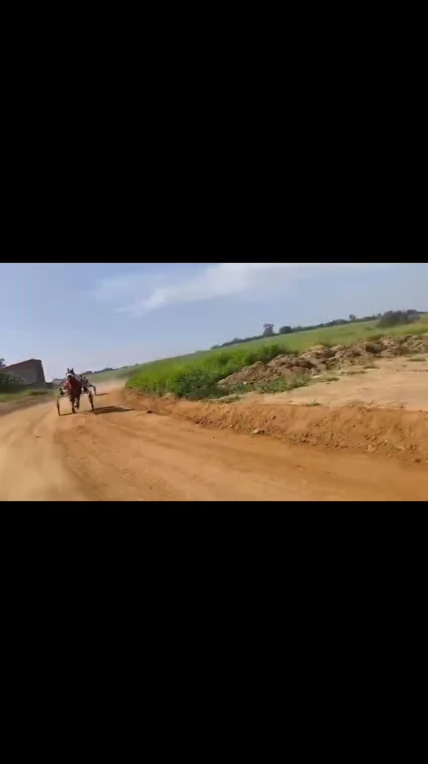 @Stud Marreta