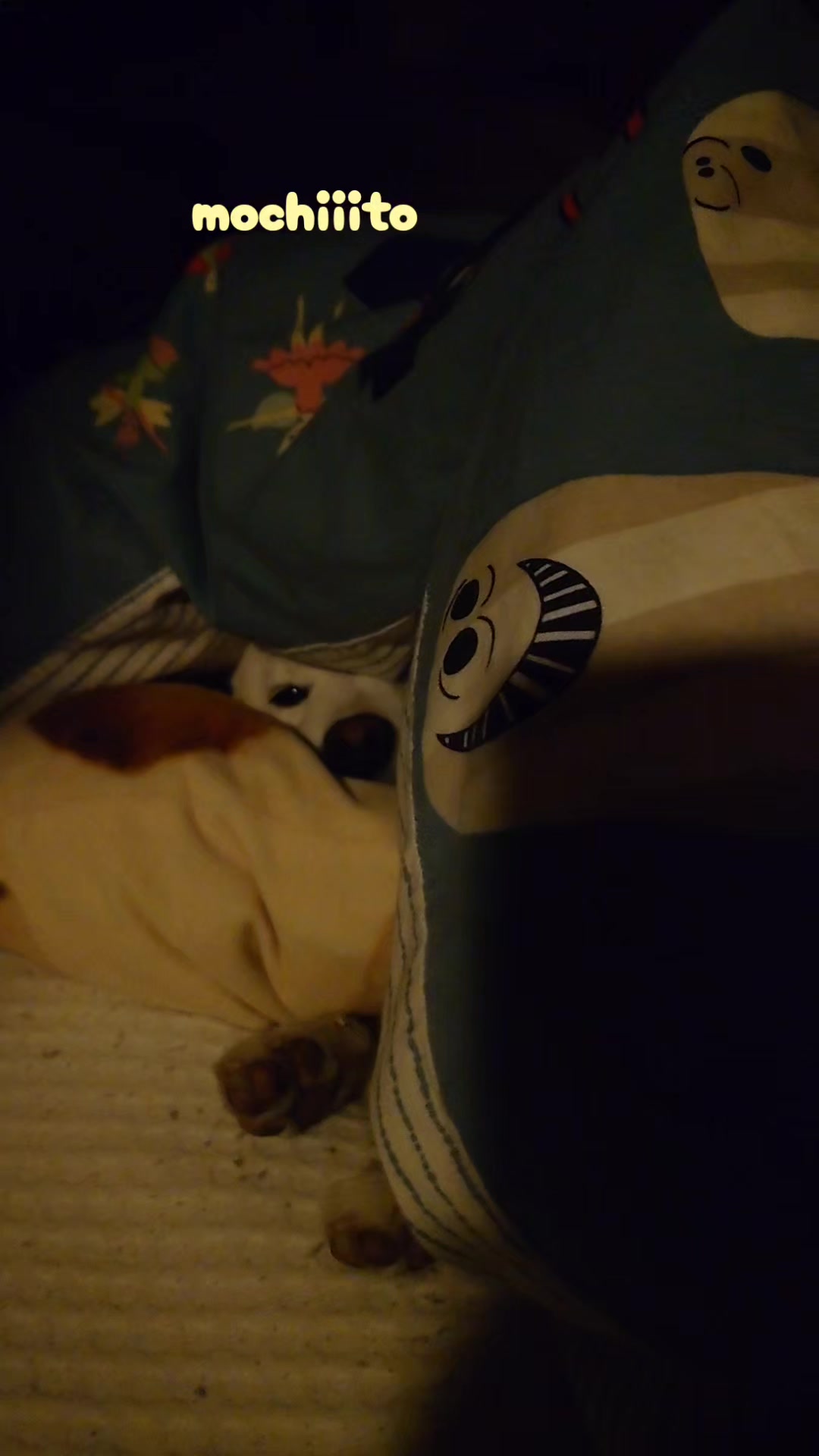 @Mochimaru