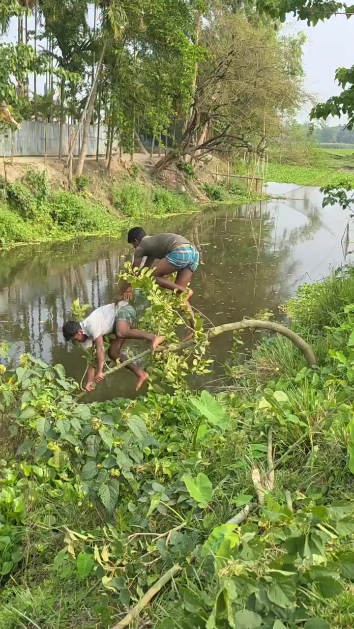 @MD Nahid Parvej