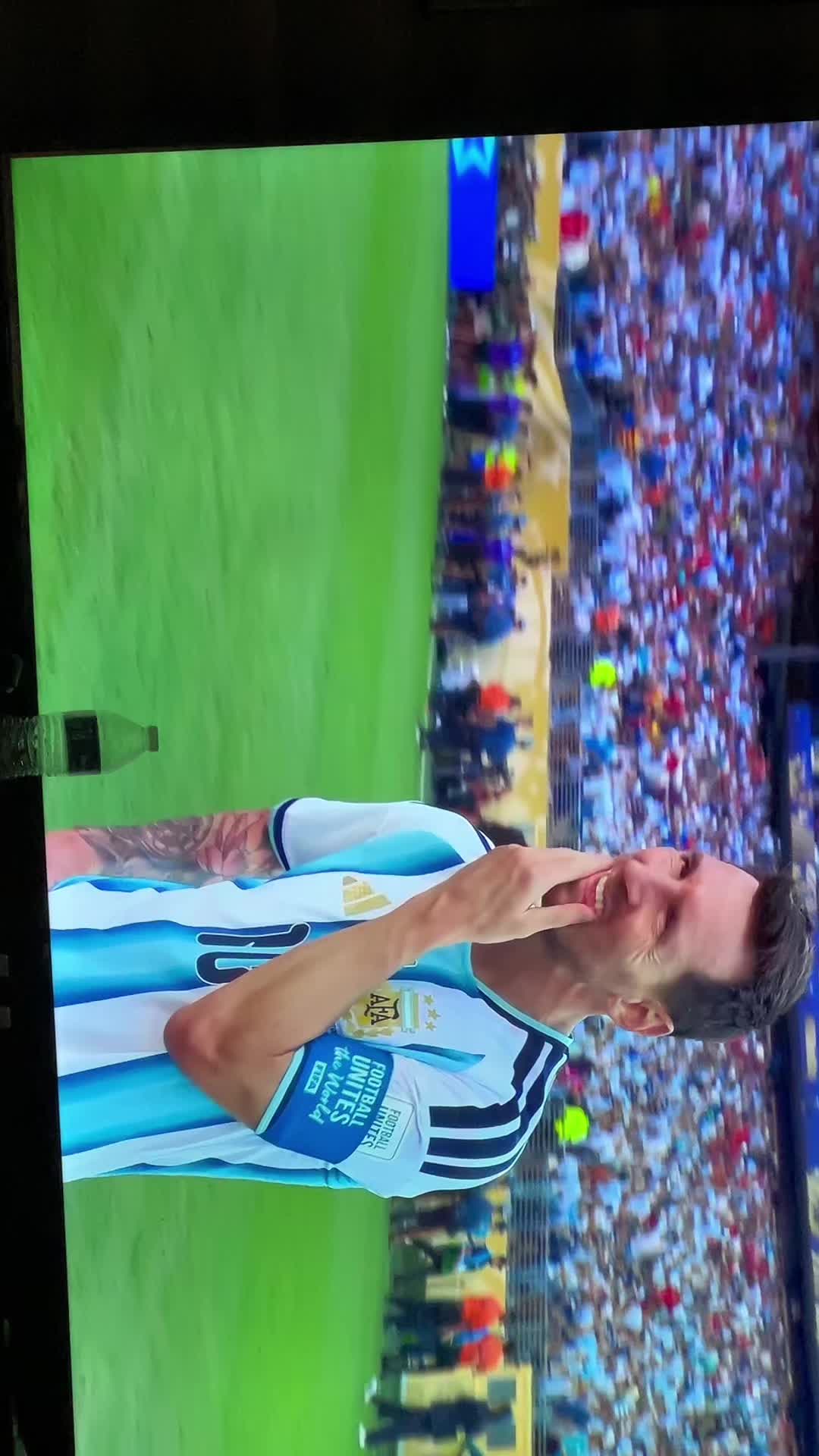 @perezcastillo19865