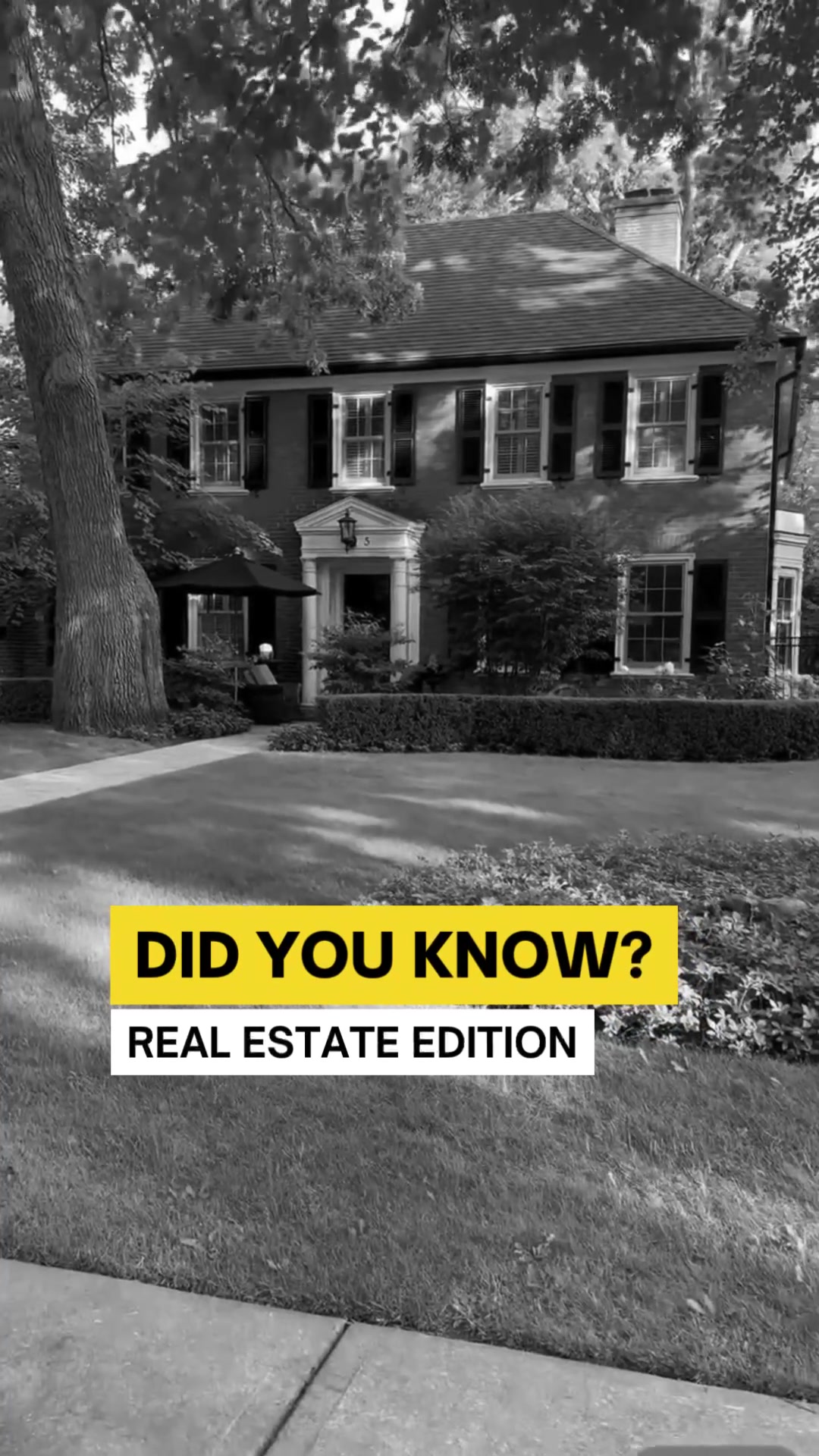 @realtor.mattv