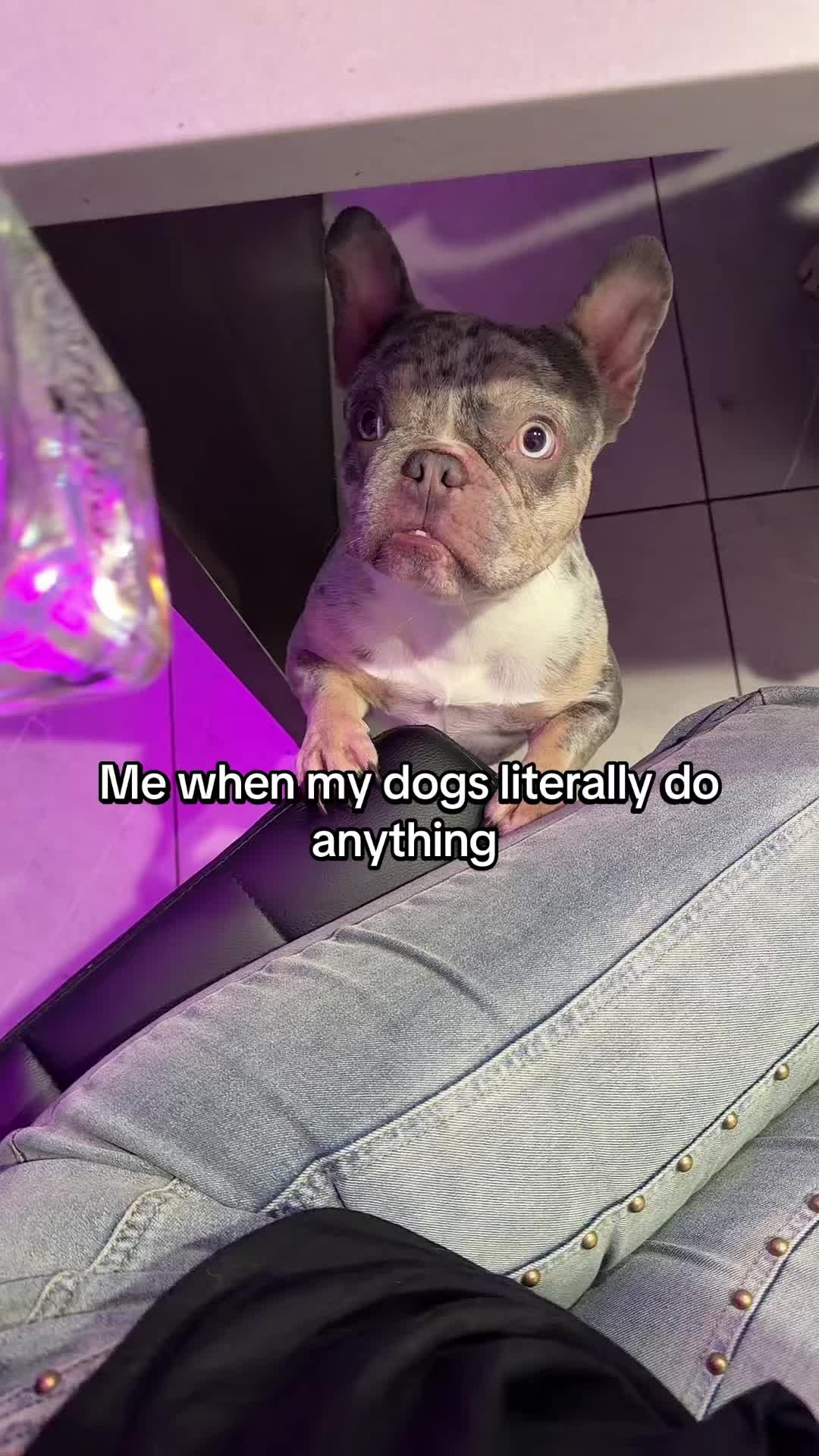 @haileyy