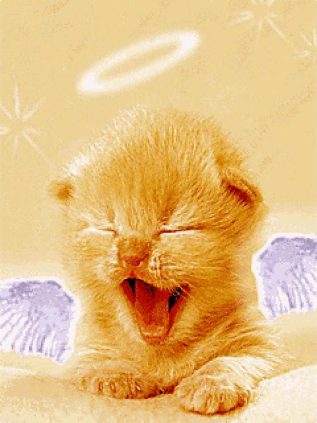 @😽🐾ꪑ𝓲ᥴꫝ𝓲 1️⃣1️⃣