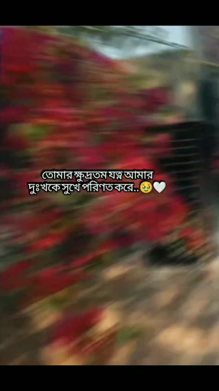 @𝙴𝚂𝚄 𝙼𝙾𝙽𝙸🦋🦋