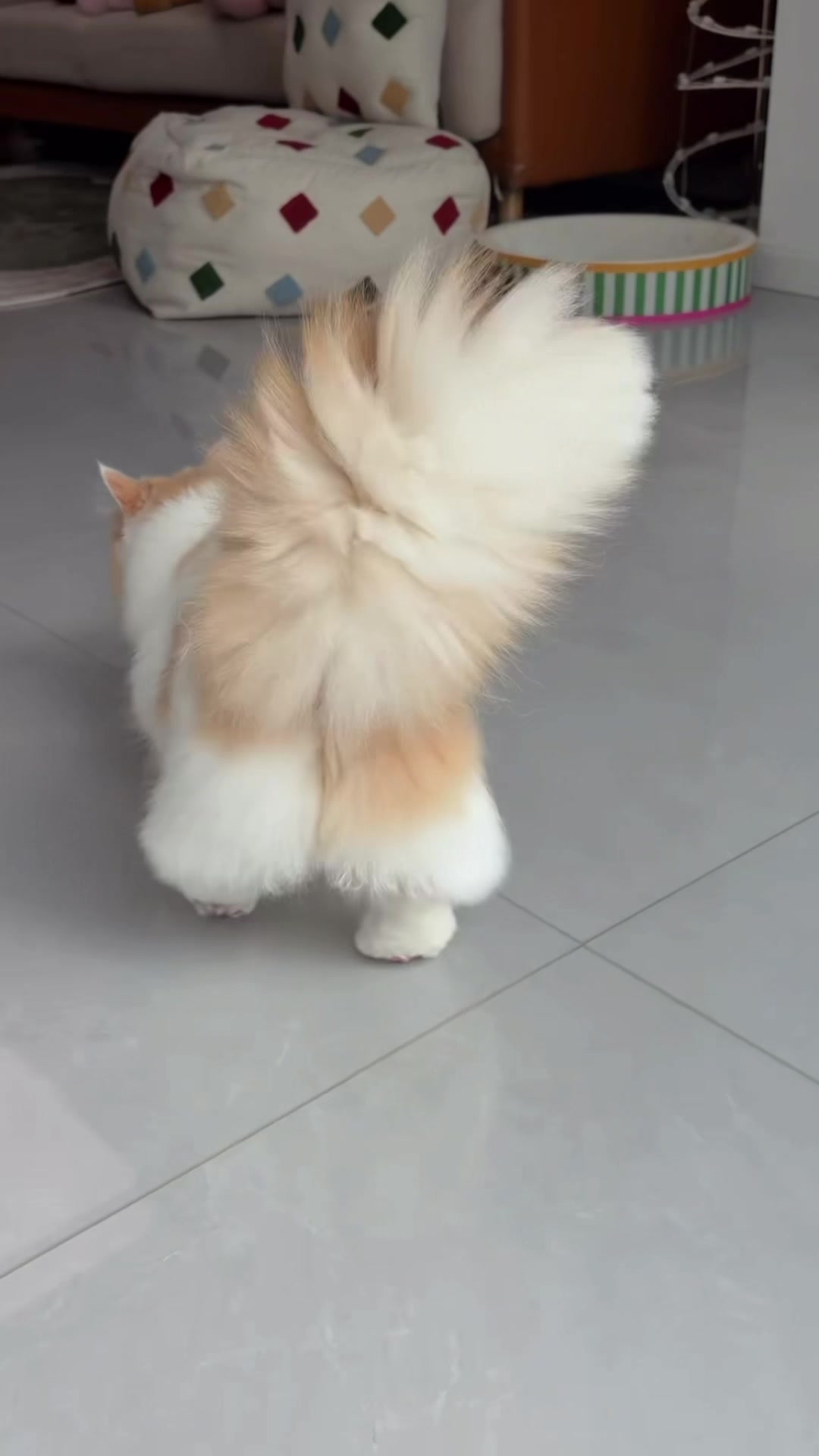@My Daily Dose of Aww