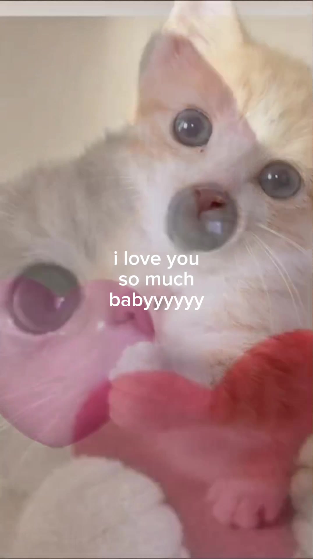 @Doug funny