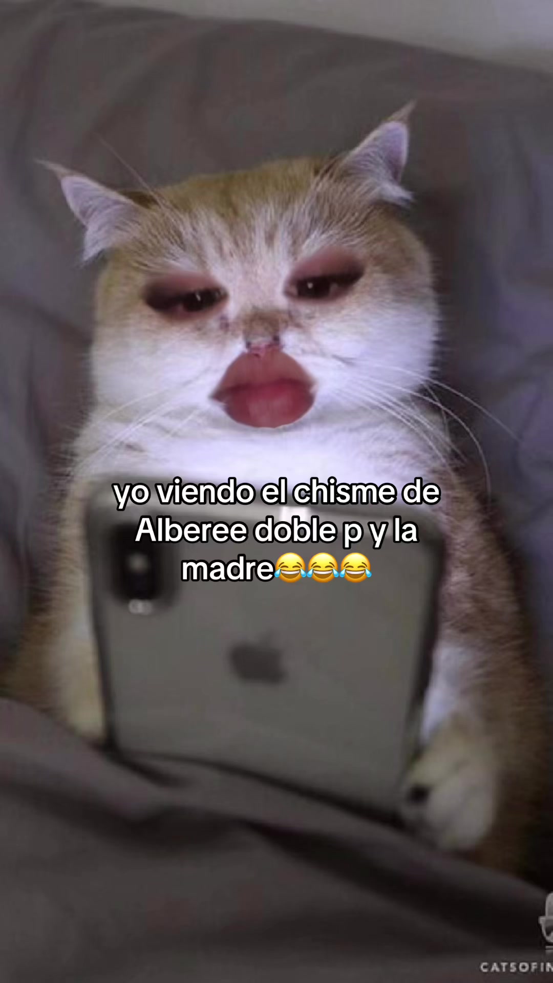 @Ana Romero