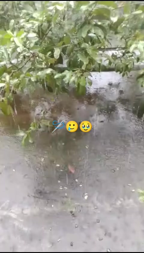 @M,A,, ভালো থাকবেন আপনি 🥲🪡😭