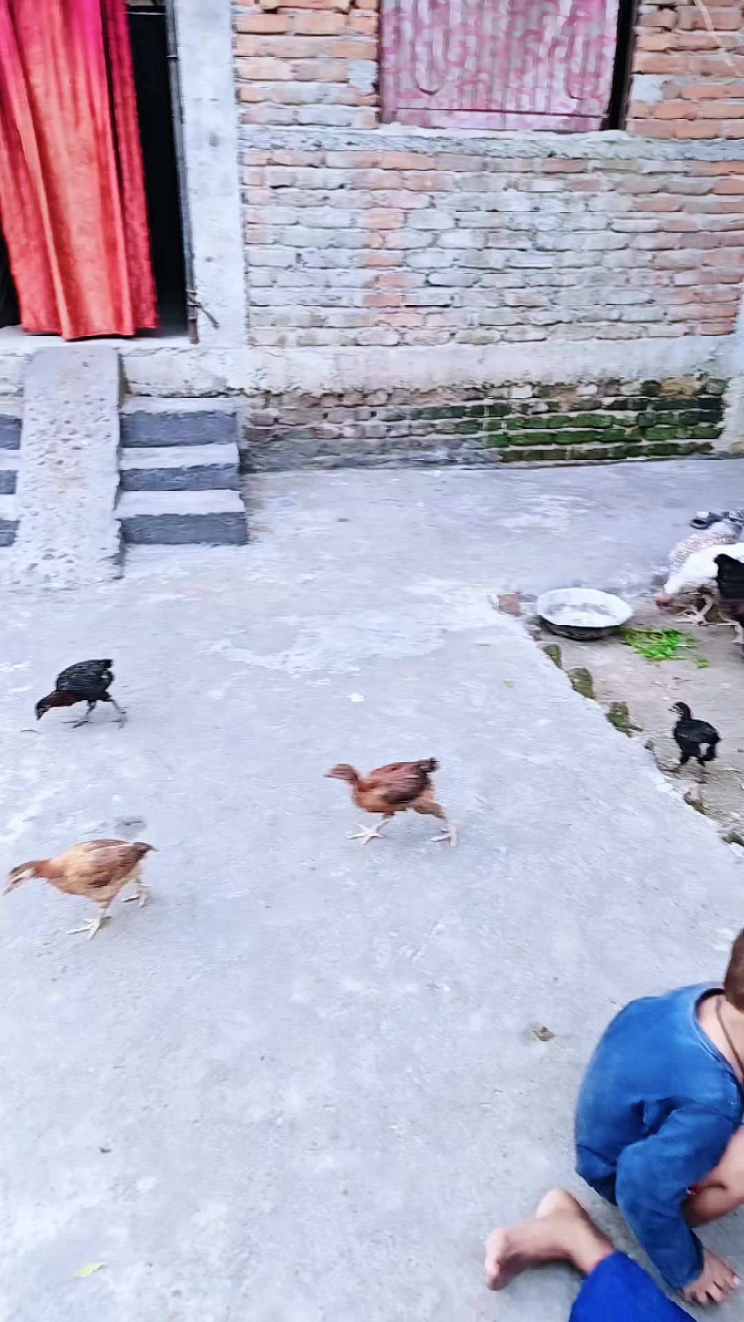 @Danias🇳🇵🥀🇳🇵