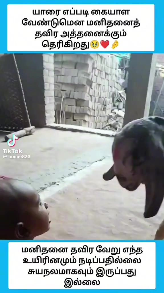 @seelan
